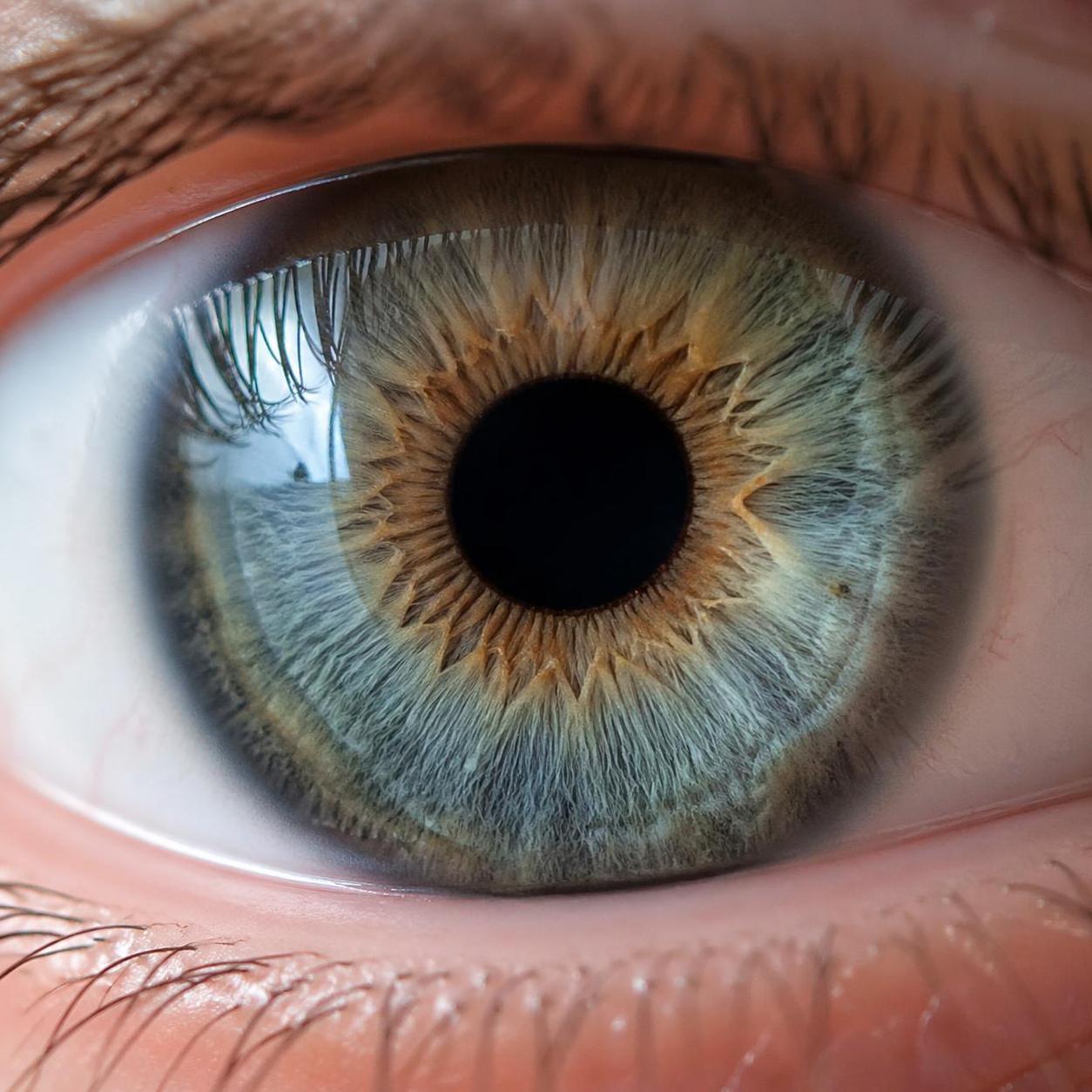 découvrez tout sur les couleurs des yeux : guide complet, explications scientifiques et astuces pour choisir les teintes qui vous mettent en valeur.