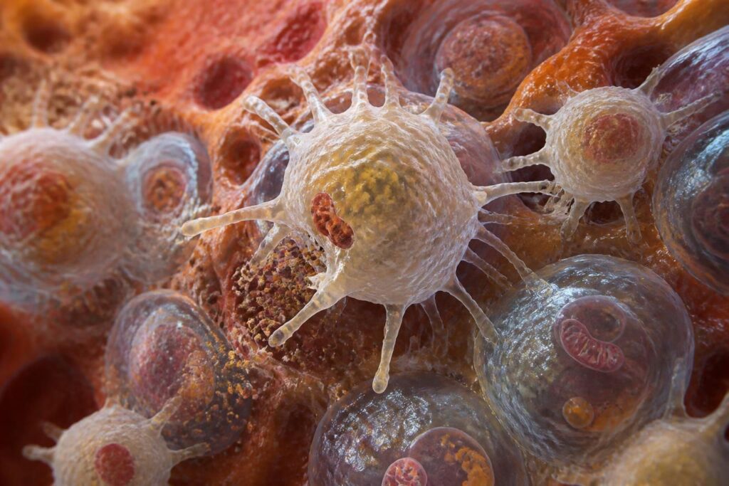découvrez le rôle crucial des macrophages dans la détoxification des tissus à haute activité énergétique, véritables alliés du corps pour maintenir l'équilibre et la santé cellulaire.